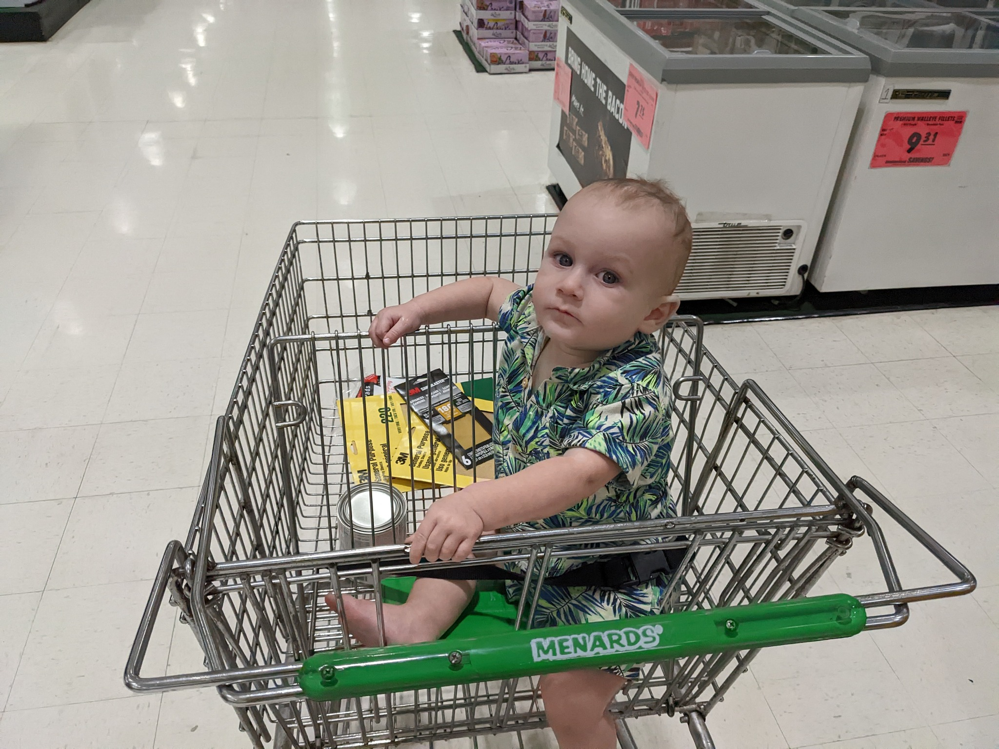 Kid sitting back in a shopping cart